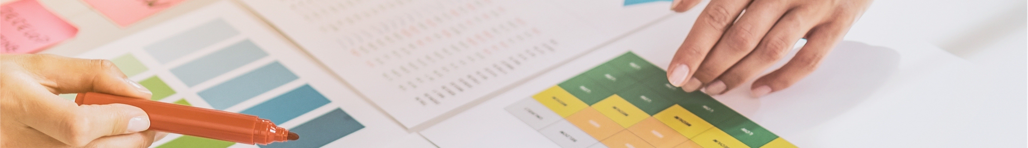 Language Access Planning